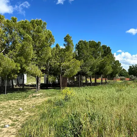 Bungalow Infanta Torrelaguna Exterior photo