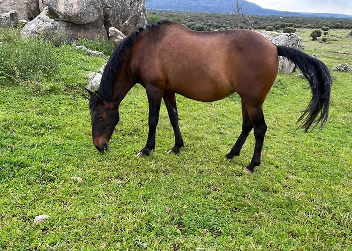 Bungalow Infanta