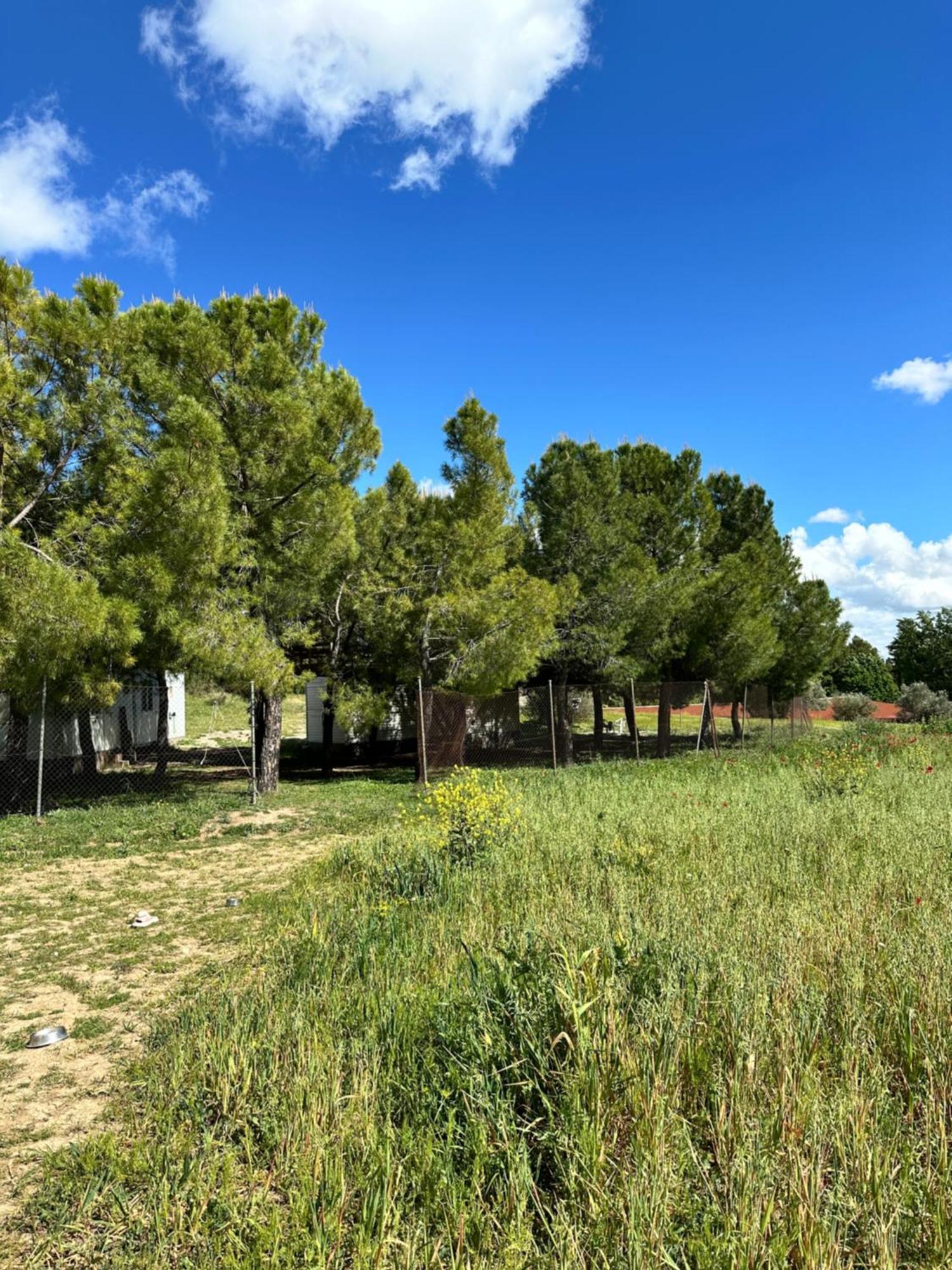 Apartment Infanta *