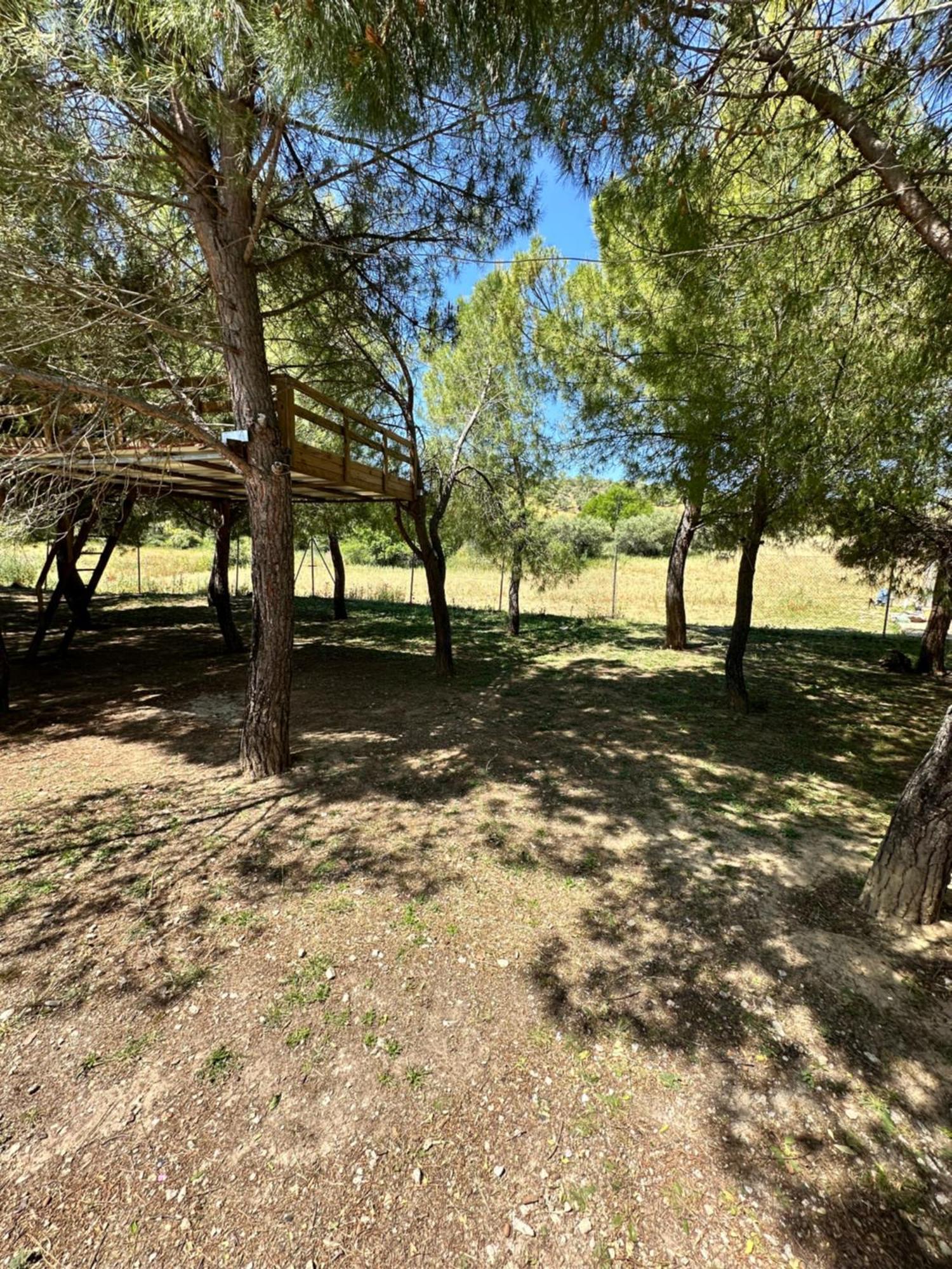 Infanta Apartment Torrelaguna