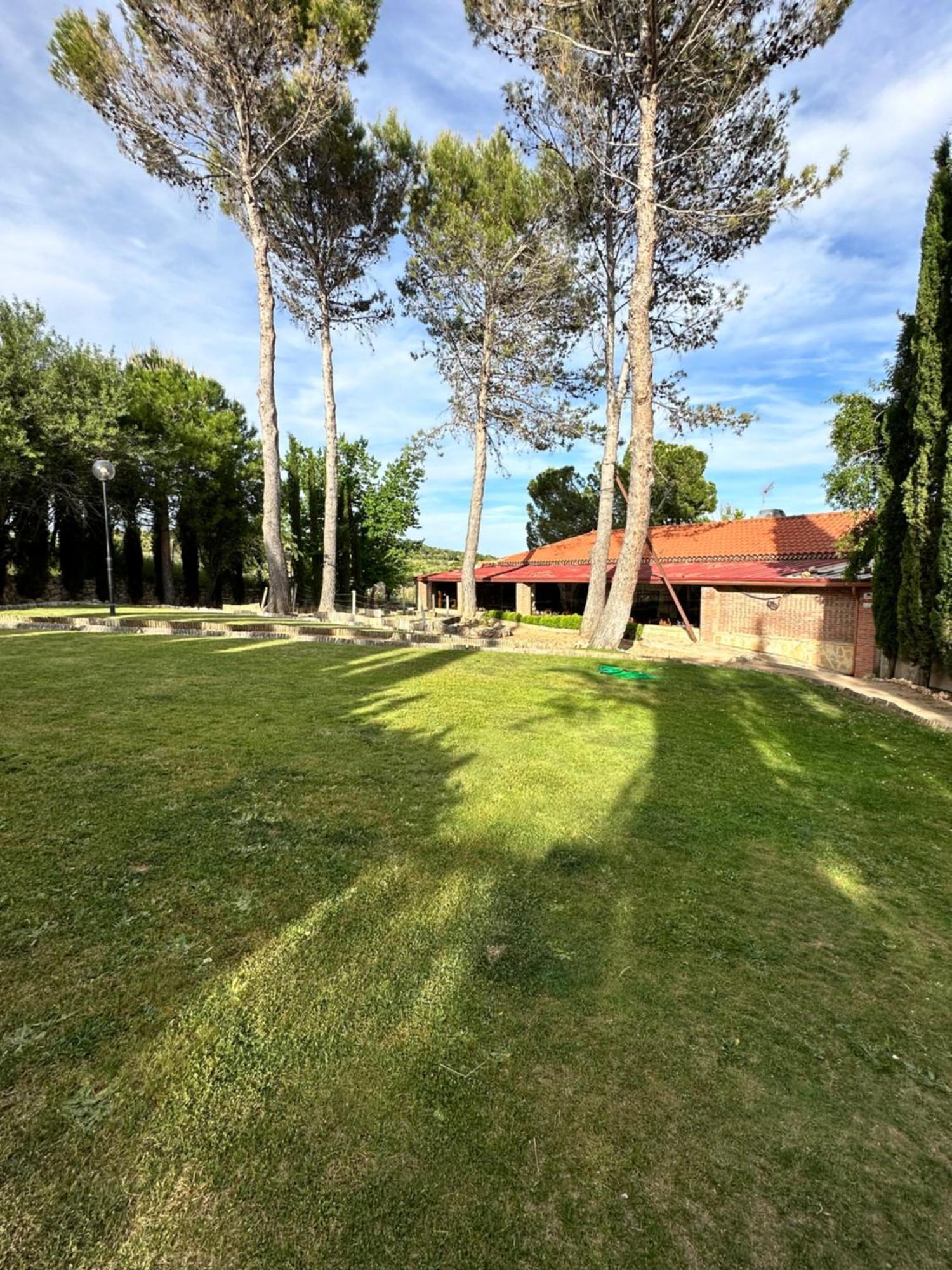 Infanta Torrelaguna